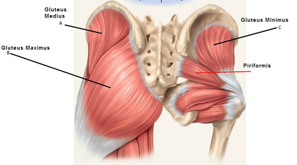 How Do I Relax My Piriformis Muscle?