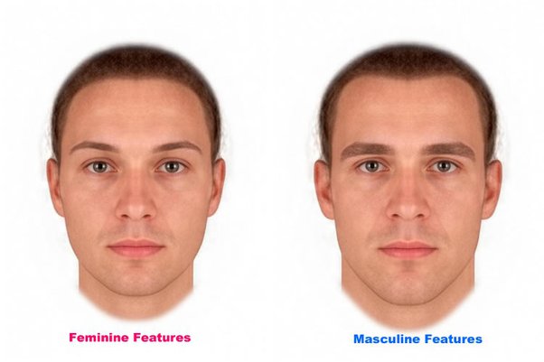 How Do You Masculinize Your Face