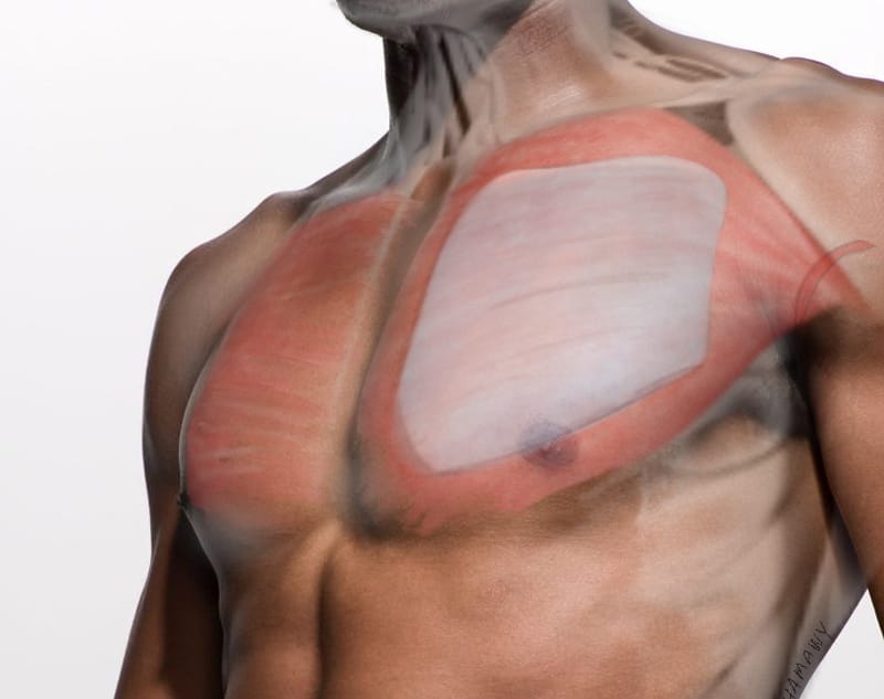 How Long Do Pec Implants Last