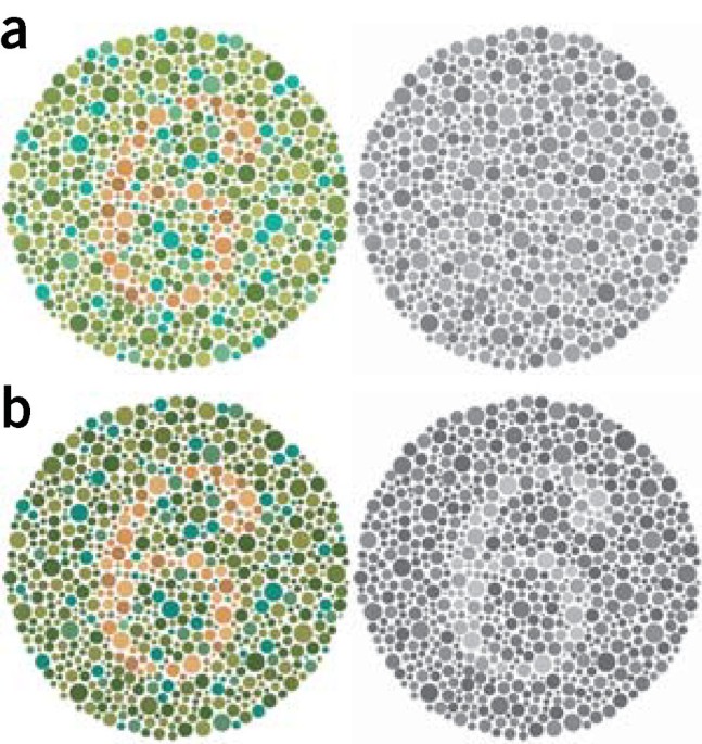 How rare is full colorblindness
