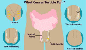 What Causes Testicular Pain