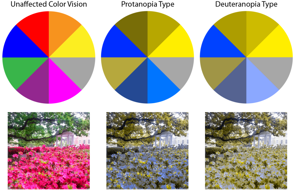 What are the three main types of color blindness