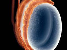What happens if you leave epididymitis untreated