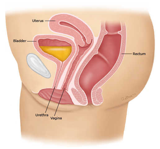 What is the best treatment for bladder incontinence