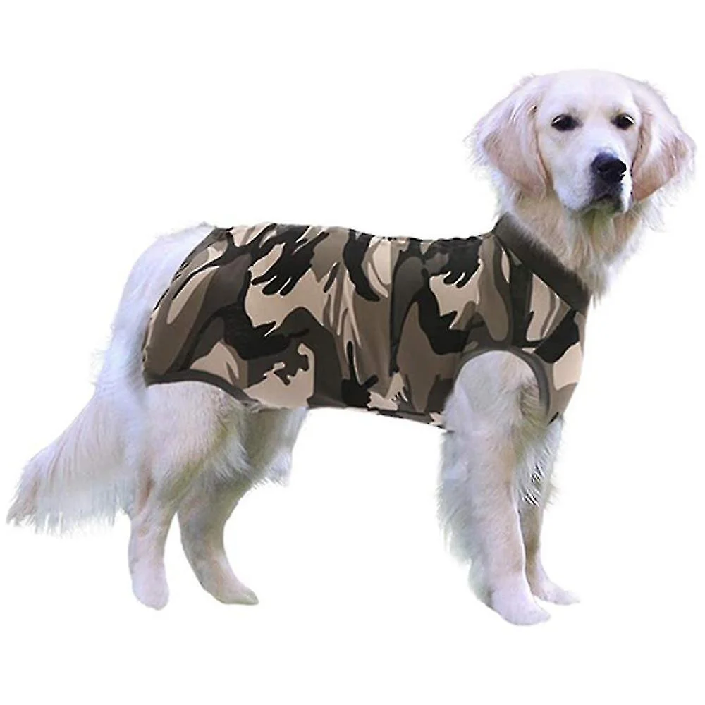Dog Onesies After Surgery